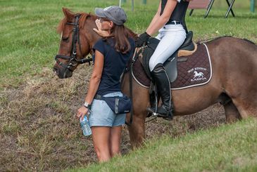 Pomoce jeździeckie i zachowanie się przy koniu - szkolenie dla dzieci i młodzieży