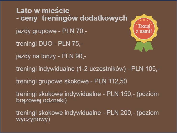 2017 Lato  w mieście Cennik treningów dodatkowych