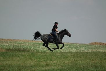 Jazda konna w Warszawie ostatnie wolne miejsca