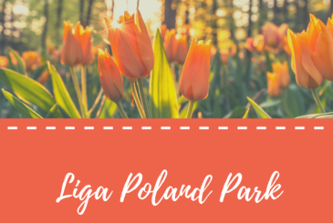 8 marca - Liga Poland Park