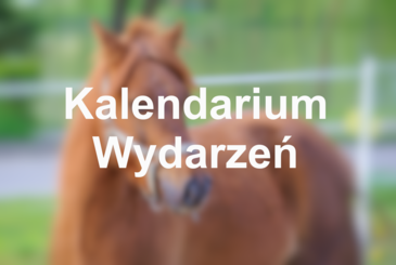 Kalendarium Wydarzeń 2022